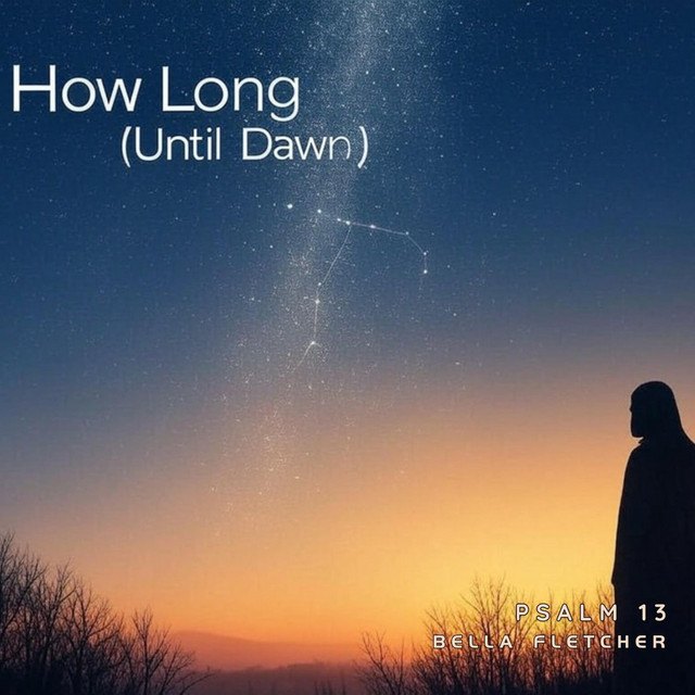 How Long Until Dawn cover