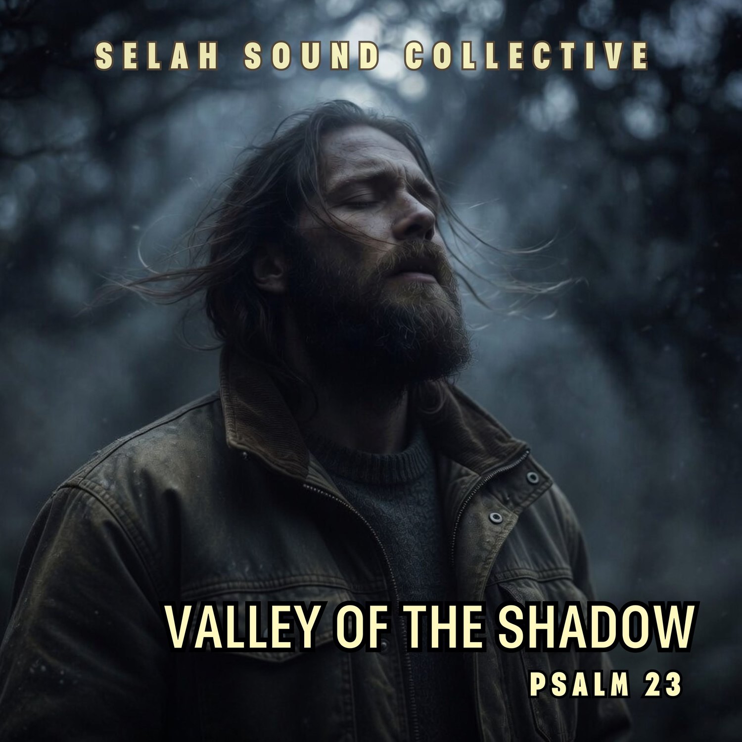 Valley of the Shadow cover