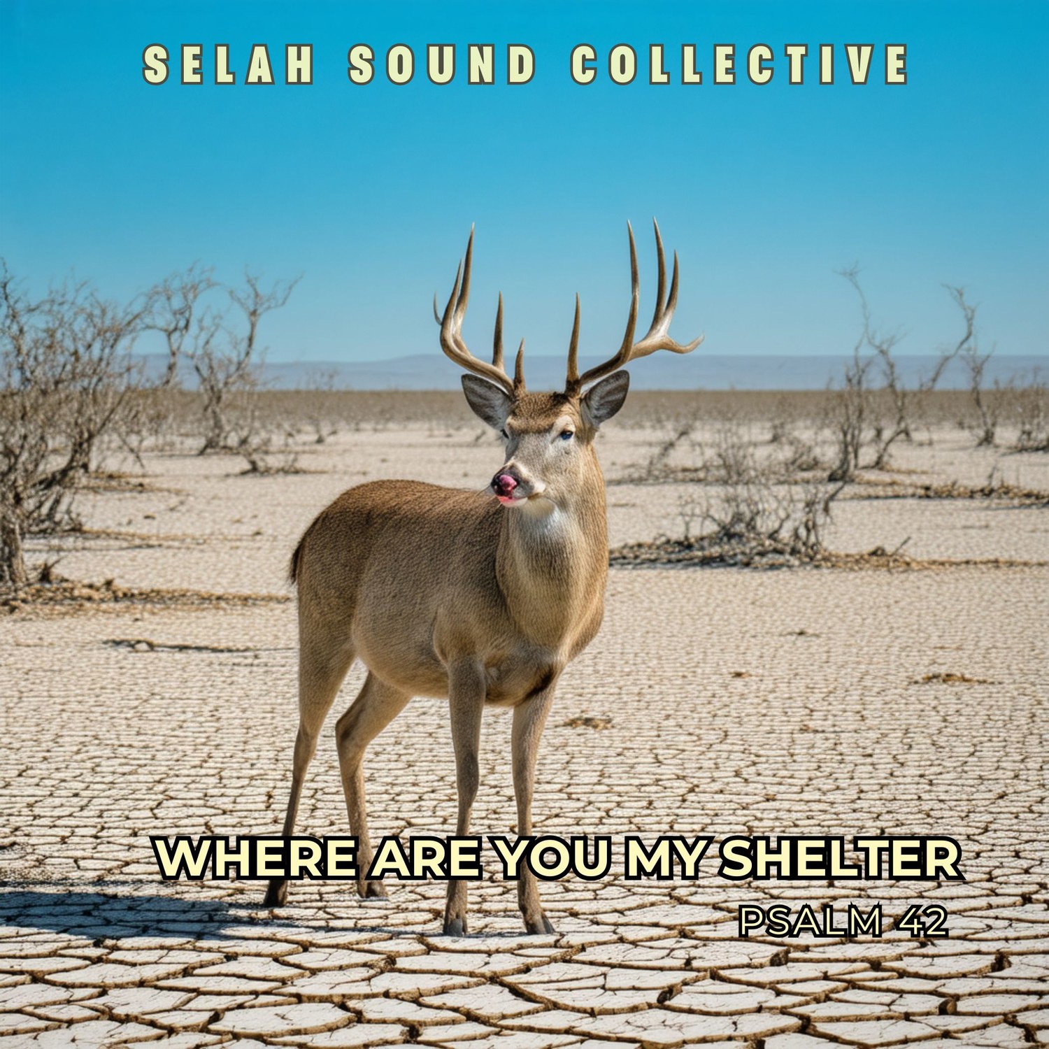 Where Are You, My Shelter cover