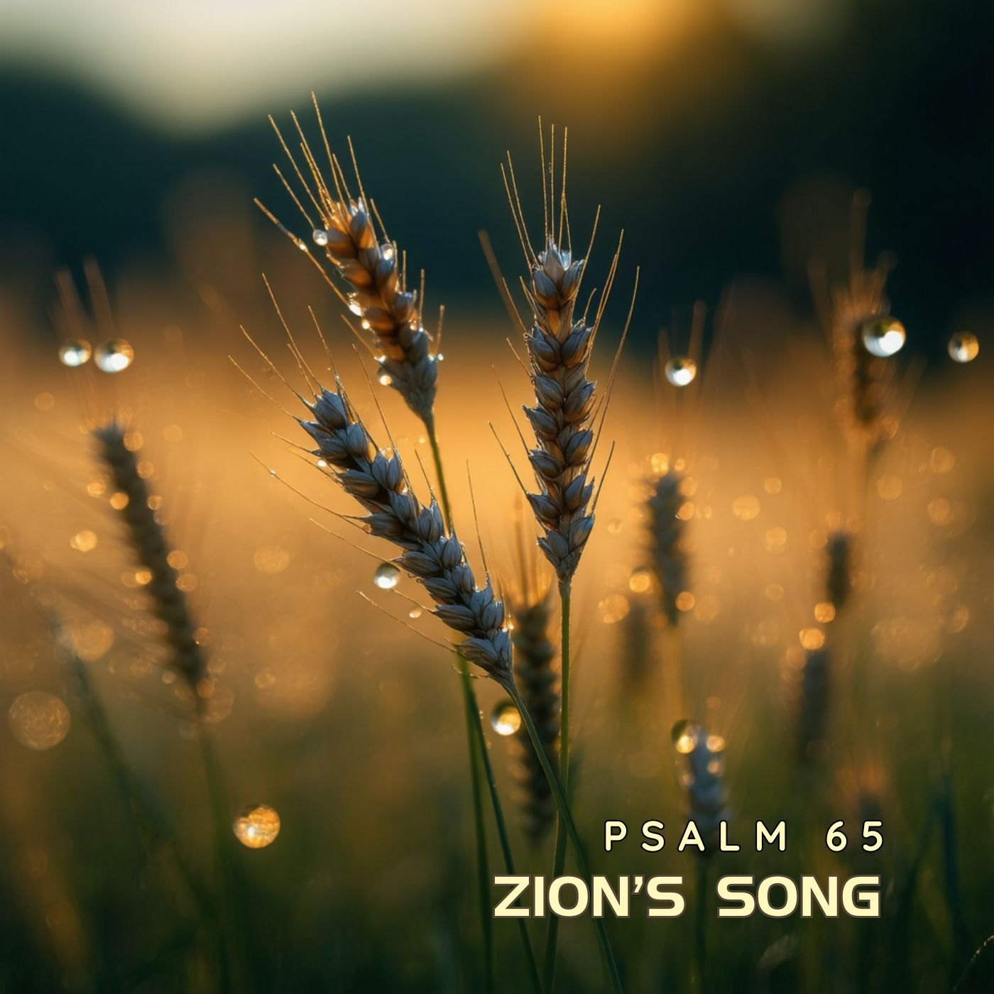 Zion's Song cover